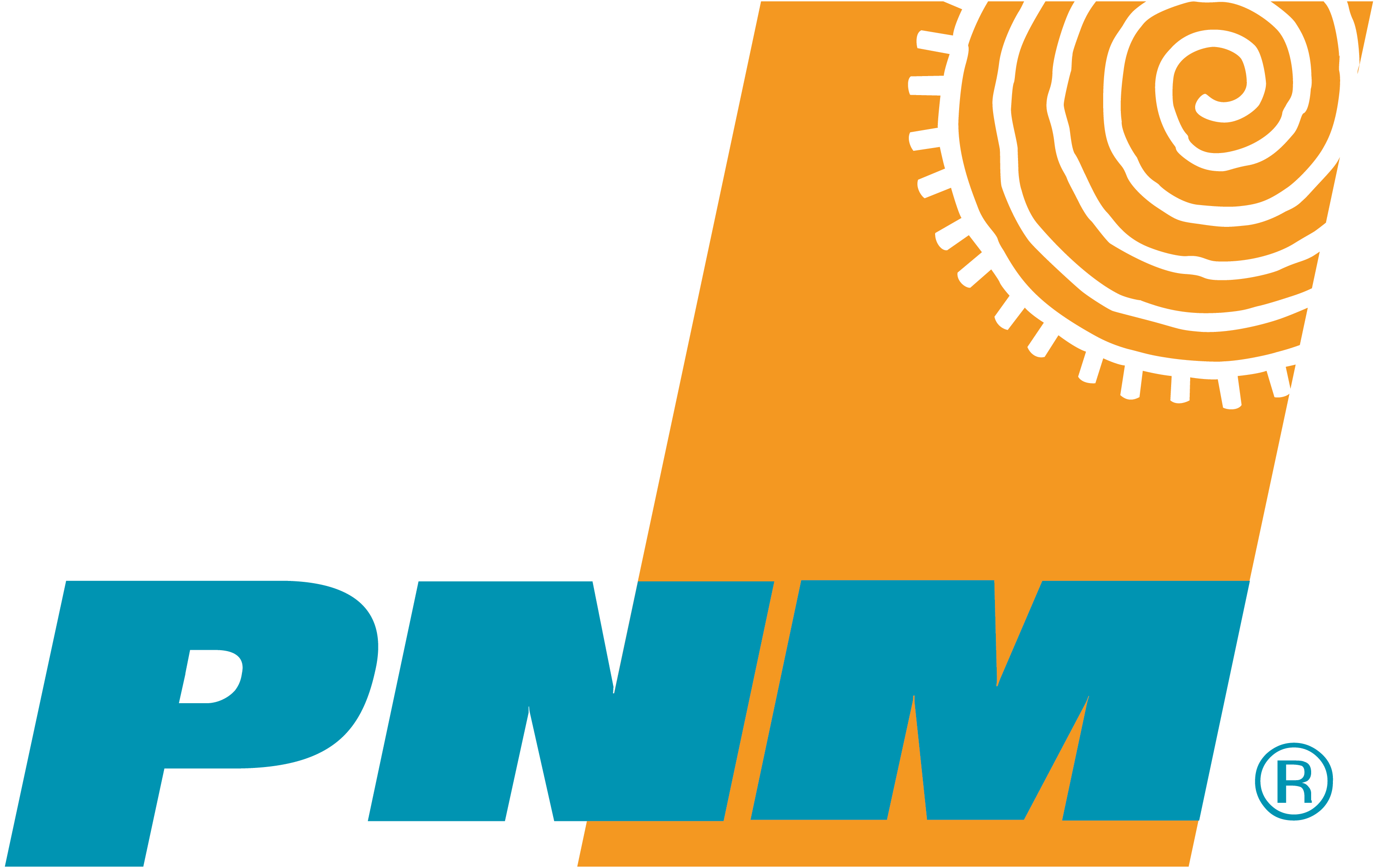 PNM Logo