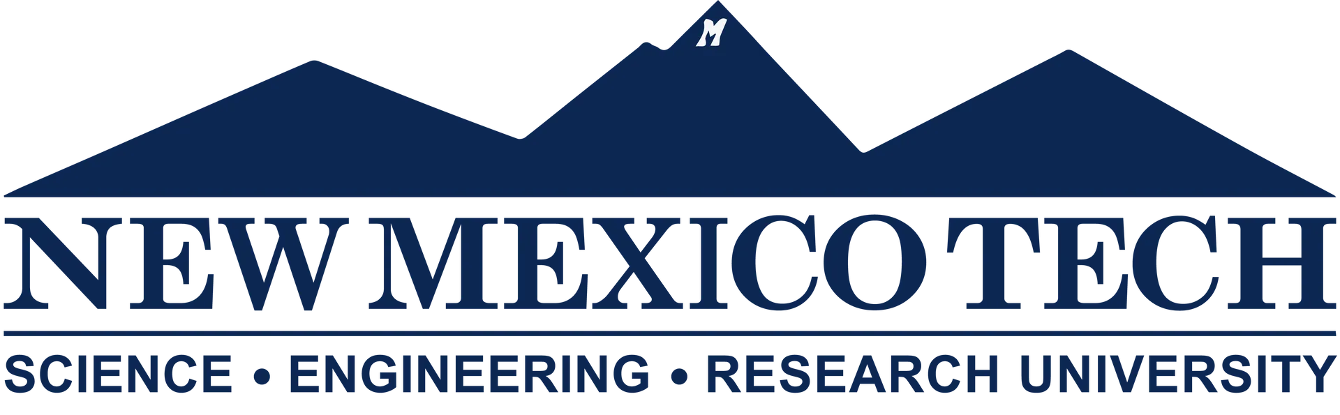 NMT Logo